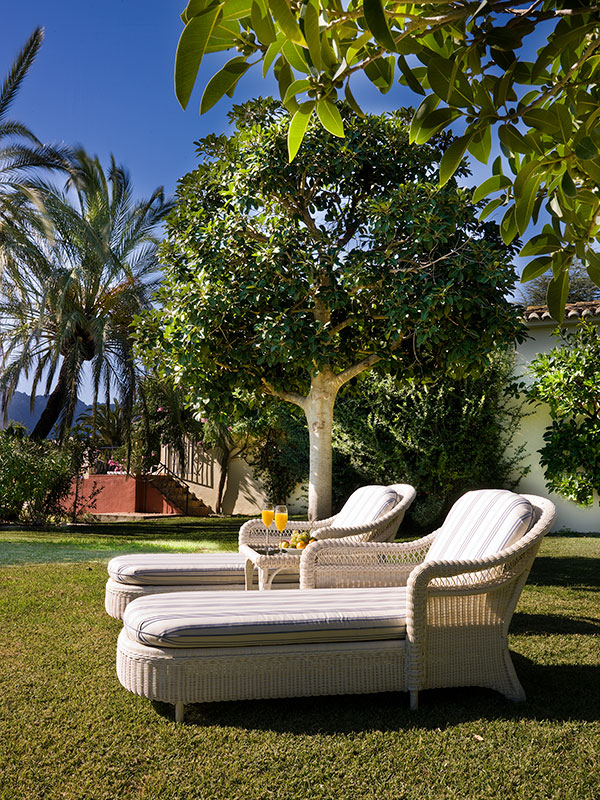 Garden Lounge Chairs